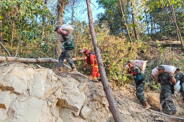 盘龙区山火明火已全线扑灭