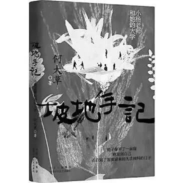 从田里到云间