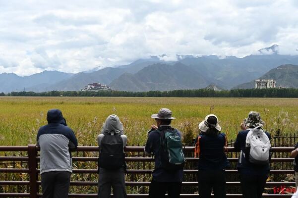 拉鲁湿地巡护步道5月1日起