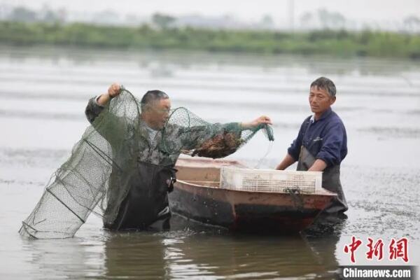 江西彭泽电商直播助农增收