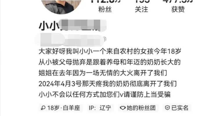 百万粉丝网红被抓