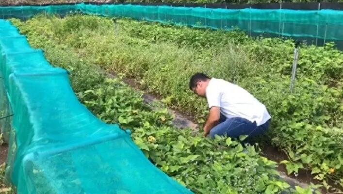 台北发生疑似食物中毒事件