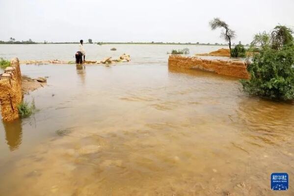 巴基斯坦暴雨造成至少30人死亡