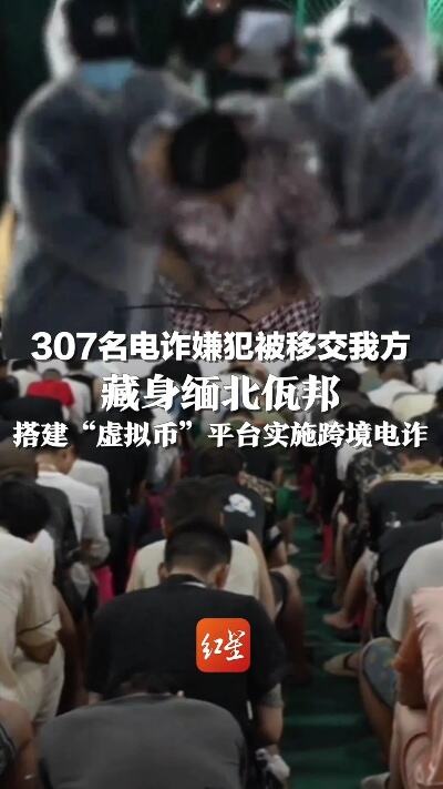 497名电诈嫌犯移交我方