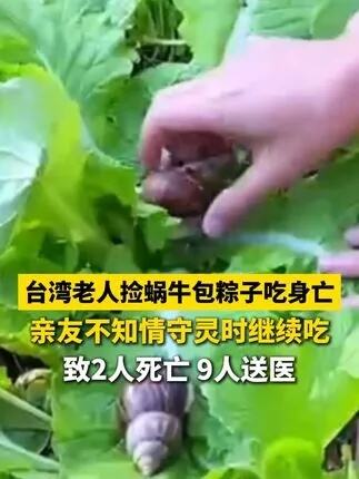 台8旬老人捡蜗牛包粽子吃致3死