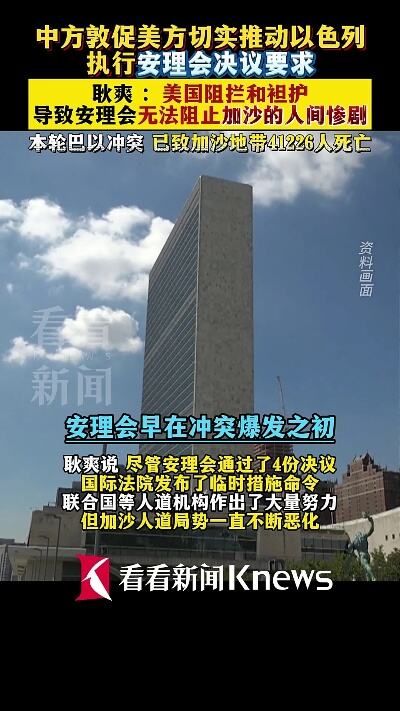 美国独家阻挠安理会投票