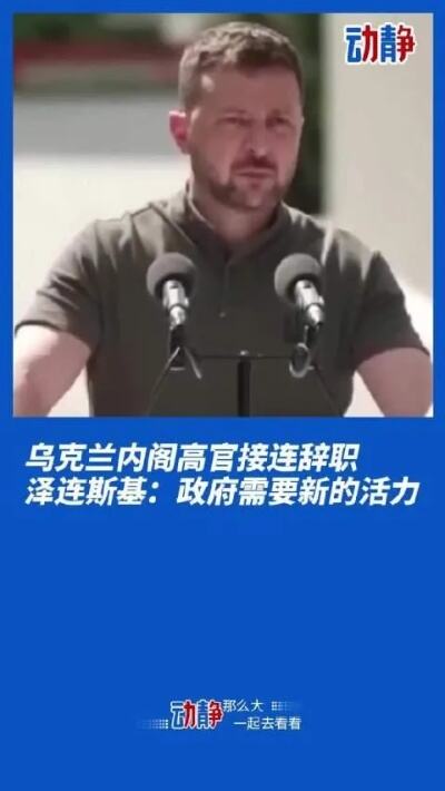 爱尔兰总理正式向总统递交辞呈