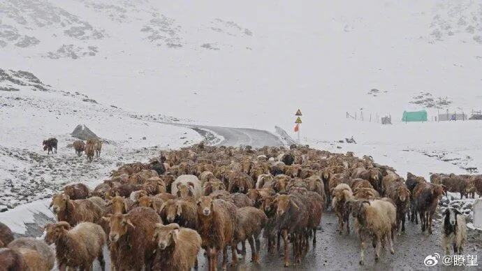 受降雪天气影响