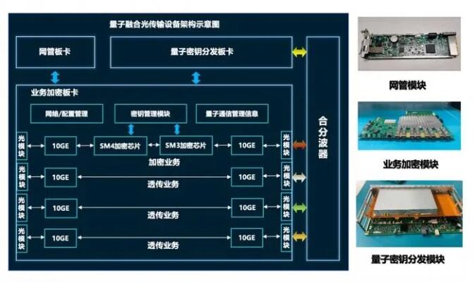 国产重磅量子芯片骁鸿面世