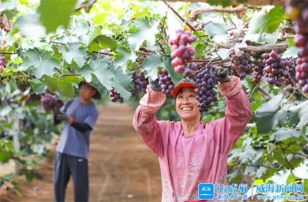 农牧民的旅游饭越吃越香