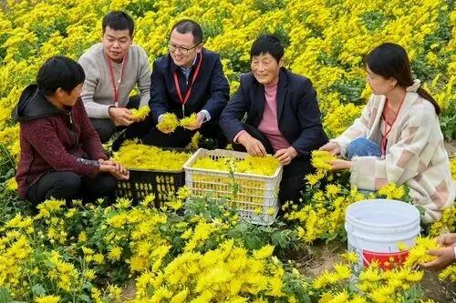 求真务实抓落实