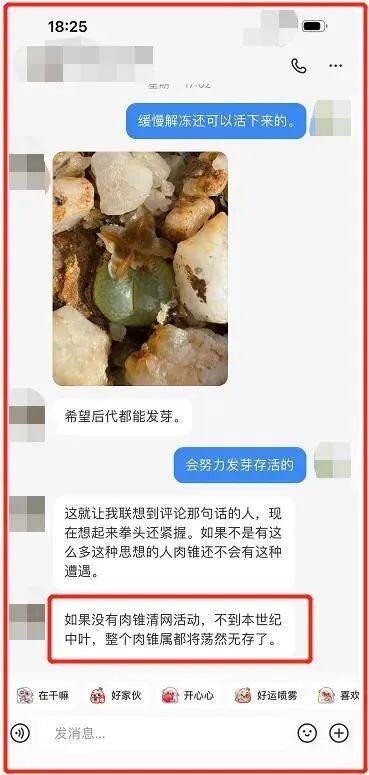 澳媒：水豚成亚洲年轻人“解压动物”