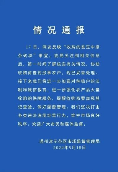 收购的蚕豆中掺杂砖块