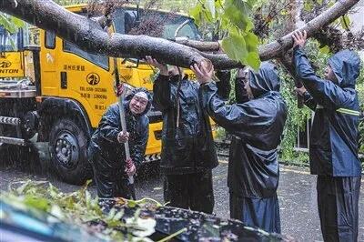 战地记者讲故事雪域温情