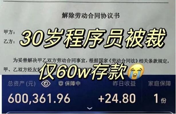 杭州讨饭的狗事件后续