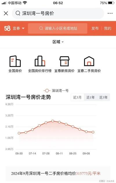 深圳豪宅红树西岸法拍房被争抢