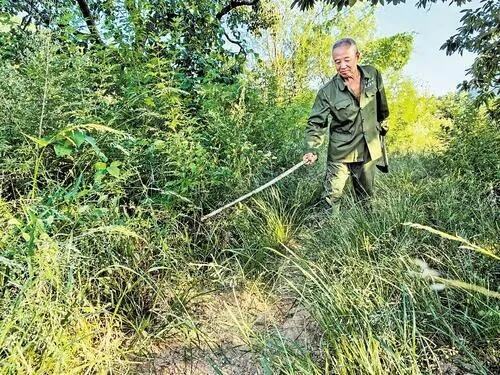 带动更多人了解长城保护长城